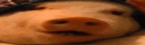 WideSvin emote