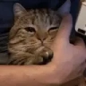 SADCAT emote