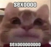 SEXO2.0 emote
