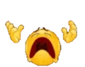 NYOOooo emote