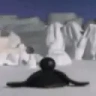nootnoot emote