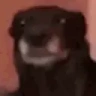 Uhh emote