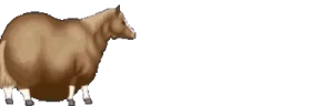 HORSERACE emote