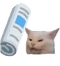 NOHORNY emote
