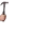 BONK