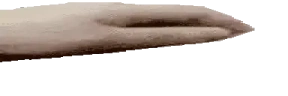 PETPETWide emote