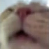 atchu emote