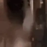 dogLeave emote