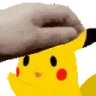 PikPet emote