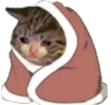 sadCatBlanket emote