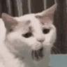 yawn emote