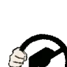 SteerR emote