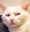catSus