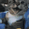 catHappy