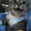 :d