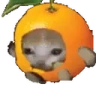 orangeCatRun emote