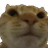 NOPERS emote