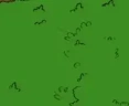 homerArrive emote