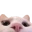 catPeek