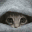 Hiding