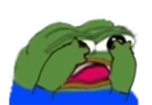 peepoScared emote