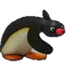 Noot emote
