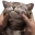 Emote