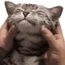 Squish emote