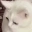 catGAG