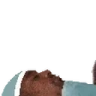 GoodNightHomie emote