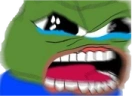 NOOOYOUCANT emote