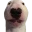 Walter