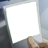 JotaroPhoto emote