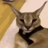 grrrr emote