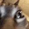 wtf emote