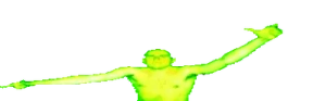 widekubonWIXA emote