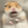 Blau emote