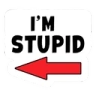 farted emote