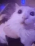 Faded emote