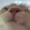 Hydrate emote