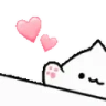 bongoWave emote