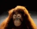 YES emote