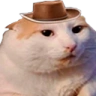 Meowdy emote