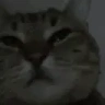 ChonkJam emote