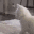 catTwerk