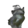 RareOtter emote
