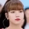 lisaNOPERS emote