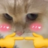 arUwU emote