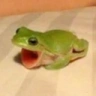 ª emote