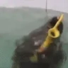 sealSAX emote